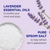 Dr Teal’s Body Wash with Pure Epsom Salt, Daytime/Nighttime with Vitamin C & Sleep Blend, 24 fl oz (Pack of 2)(48 Fl Oz (Pack of 2))