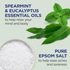 Dr Teal’s Body Wash with Pure Epsom Salt, Relax & Relief with Eucalyptus & Spearmint, 24 fl oz (Pack of 4)(Eucalyptus & Spearmint)