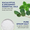 Dr Teal’s Pink Himalayan Salt Body Scrub, Restore & Replenish with Pure Epsom Salt & Essential Oils, 16 oz (Pack of 3)(Eucalyptus & Spearmint)