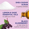 Dr Teal’s Shea Sugar Scrub, Lavender Essential Oils, 19 oz (Pack of 3)(Black Elderberry with Essential Oils)