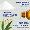 Dr Teal’s Shea Sugar Scrub, Lavender Essential Oils, 19 oz (Pack of 3)(Cannabis Sativa Hemp Seed Oil with Essential Oils)