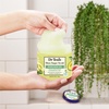 Dr Teal’s Shea Sugar Scrub, Lavender Essential Oils, 19 oz (Pack of 3)(Ceramides & Avocado Essential Oil)