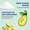 Dr Teal’s Shea Sugar Scrub, Lavender Essential Oils, 19 oz (Pack of 3)(Ceramides & Avocado Essential Oil)