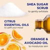 Dr Teal’s Shea Sugar Scrub, Lavender Essential Oils, 19 oz (Pack of 3)(Citrus with Essential Oils & Vitamin C)