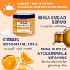 Dr Teal’s Shea Sugar Scrub, Lavender Essential Oils, 19 oz (Pack of 3)(Citrus with Vitamin C & Melatonin)