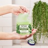 Dr Teal’s Shea Sugar Scrub, Lavender Essential Oils, 19 oz (Pack of 3)(Eucalyptus & Spearmint with Essential Oils)