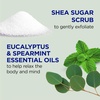 Dr Teal’s Shea Sugar Scrub, Lavender Essential Oils, 19 oz (Pack of 3)(Eucalyptus & Spearmint with Essential Oils)