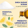 Dr Teal’s Shea Sugar Scrub, Lavender Essential Oils, 19 oz (Pack of 3)(Lemon Balm with Prebiotics)