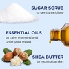 Dr Teal’s Shea Sugar Scrub, Lavender Essential Oils, 19 oz (Pack of 3)(Rose  Shea Butter  Citrus)