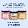 Dr Teal’s Shea Sugar Scrub, Lavender Essential Oils, 19 oz (Pack of 3)(Rose  Shea Butter  Citrus)