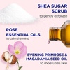 Dr Teal’s Shea Sugar Scrub, Lavender Essential Oils, 19 oz (Pack of 3)(Rose with Essential Oil)