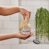Dr Teal’s Shea Sugar Scrub, Lavender Essential Oils, 19 oz (Pack of 3)(Shea Butter with Almond Oil & Essential Oils)